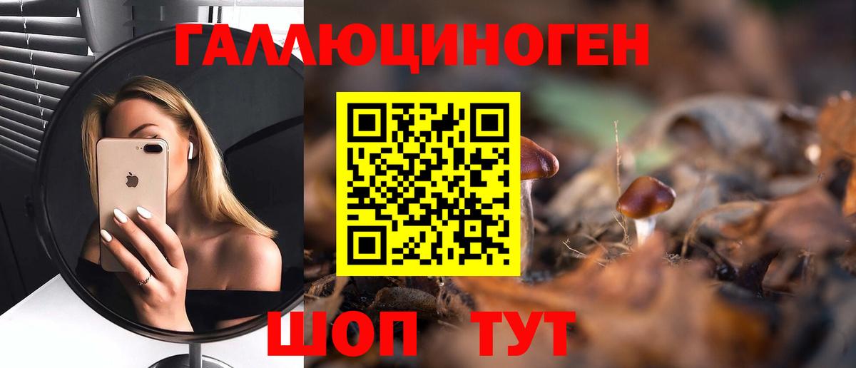 Псилоцибиновые грибы MAGIC MUSHROOMS  Галлюциногенные грибы мухоморы  Армавир  Вход с VPN 