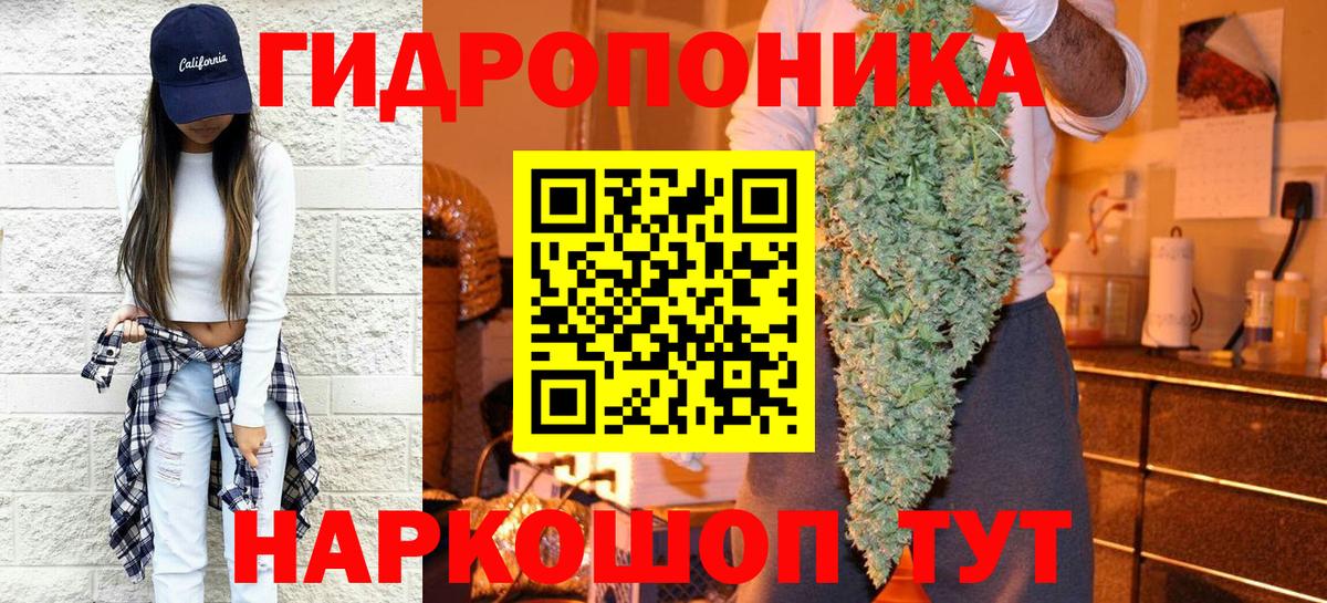 Бошки Шишки семена Армавир